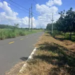 Bán đất đẹp tại Ấp Yên Ngựa, xã Định Thành, Dầu Tiếng, DT 284,4m2, nhiều tiện ích - Ảnh thu nhỏ 6