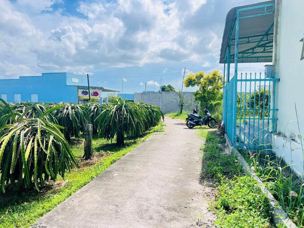 Bán đất thổ cư 130m² Hàm Liêm Phan Thiết - Ảnh 1