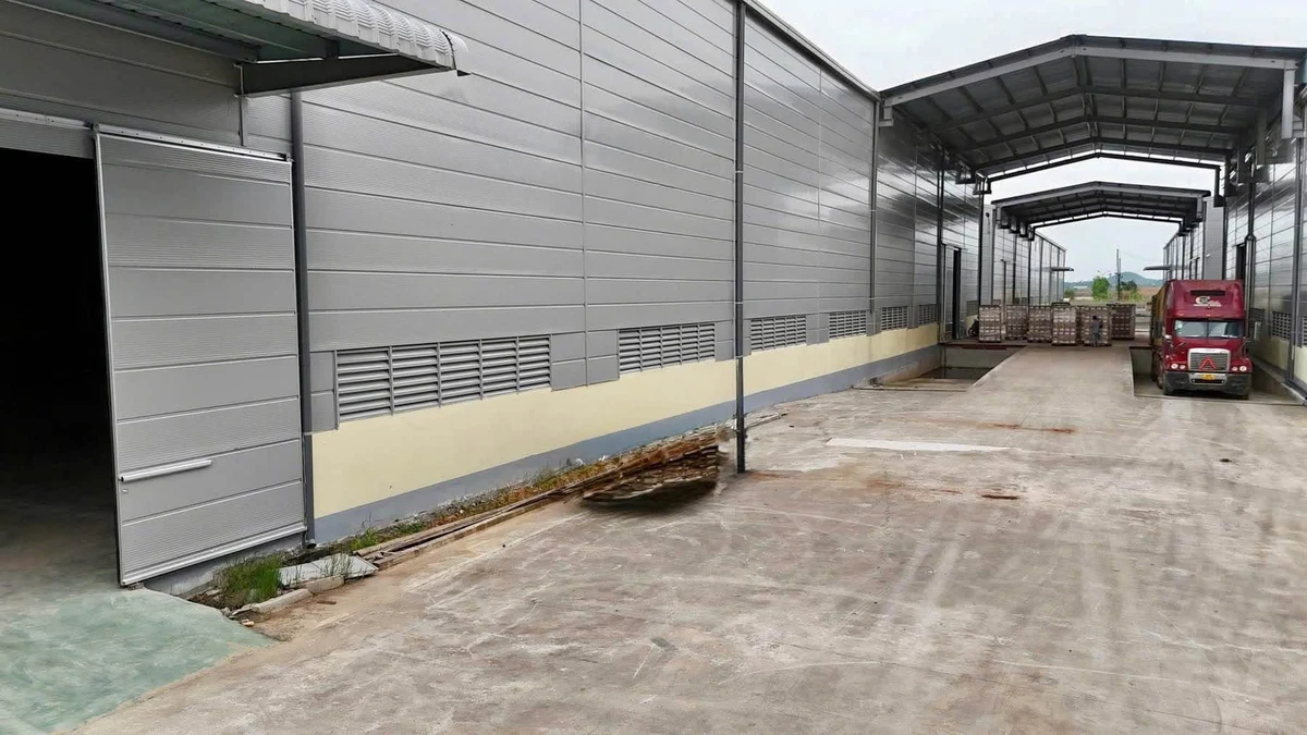 Cho thuê xưởng sản xuất CNC 9.800m2 tại KCN An Phước Long Thành - Ảnh thu nhỏ 4