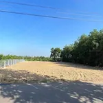 Bán đất mặt tiền Phạm Hùng 1441m2 ngang 20m gần KCN Đất Đỏ, Bà Rịa - Vũng Tàu - Ảnh thu nhỏ 5