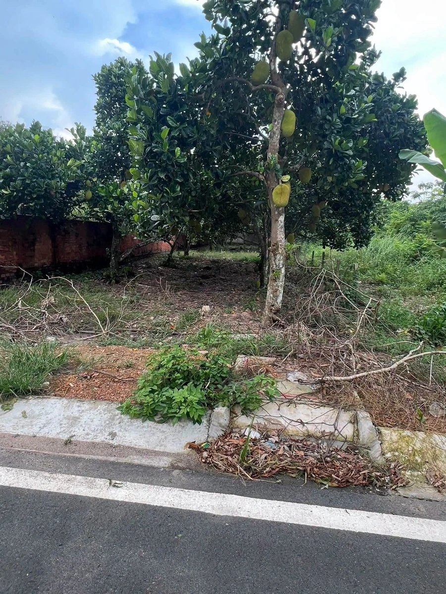 Bán đất 50m² Phùng Hưng, giữa QL13 và Đường 8 - Ảnh thu nhỏ 2