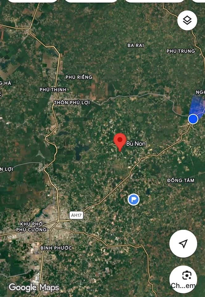 Bán 2,4ha đất cao su có nhà cấp 4, giá 3,5 tỷ, Đồng Tiến, Bình Phước - Ảnh thu nhỏ 5