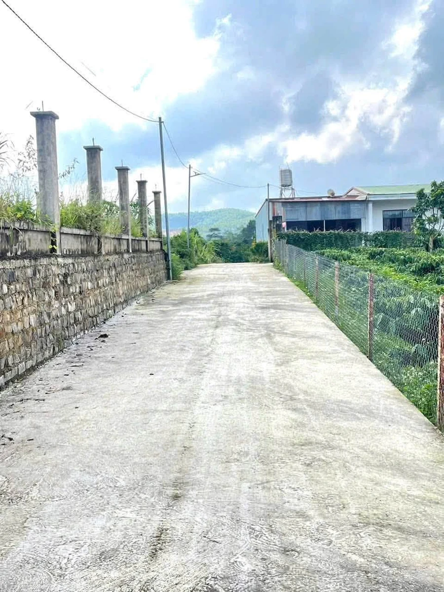 Bán đất mặt tiền Trương Định, Bảo Lộc, 4000 m² - Ảnh thu nhỏ 4