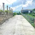 Bán đất mặt tiền Trương Định, Bảo Lộc, 4000 m² - Ảnh thu nhỏ 4
