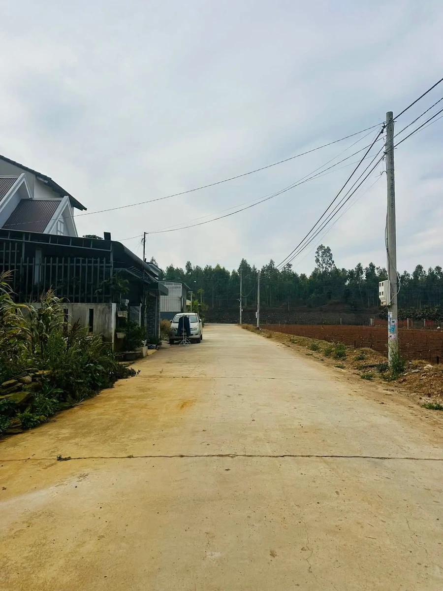 Bán đất 100m² Nguyễn Chí Thanh Thạnh Mỹ Đơn Lâm Đồng 799 triệu - Ảnh 1