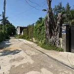 Bán biệt thự sông Bình Quới 400m² 22 tỷ Nhà Bè - Ảnh thu nhỏ 3