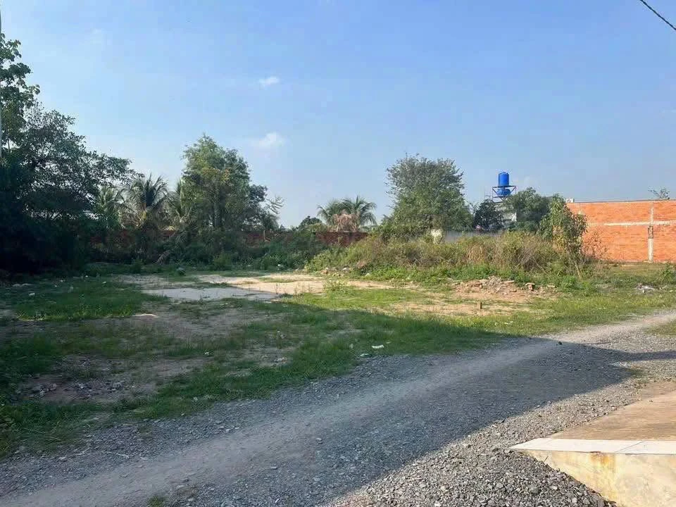 Bán đất 516m² full thổ, nở hậu, đường đá xanh 4m tại Thị trấn Đức Hòa, Long An - Ảnh thu nhỏ 2