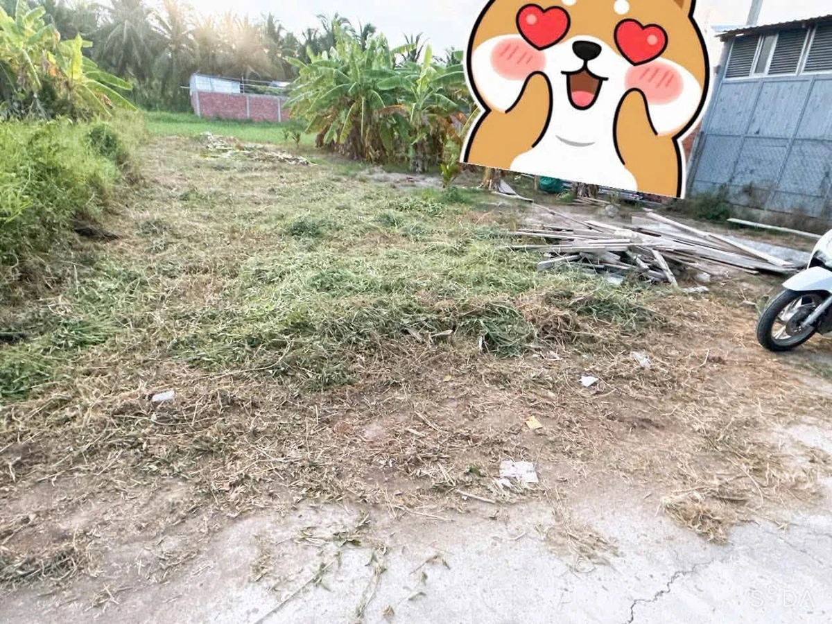 Bán nền đất 125m² Phường Phú Tân, Bình Tân - Ảnh thu nhỏ 3