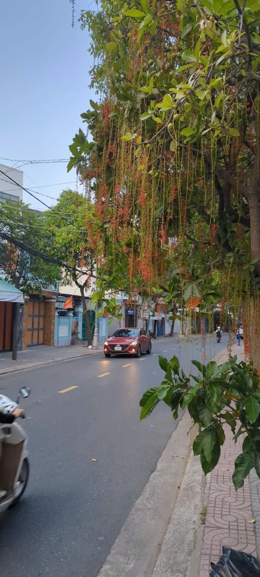 Bán đất mặt tiền 93m2 Rạch Dừa Vũng Tàu 6.5 tỷ - Ảnh 1