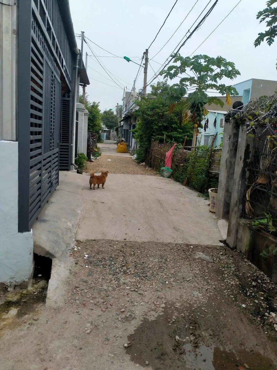 Bán lô đất 156m2 thổ cư 100m2 giá 2,25 tỷ tại phường Bà Rịa - Ảnh 1
