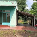 Bán đất 1000m² xã Tân Trạch Cần Đước Long An 2,8 tỷ - Ảnh thu nhỏ 2