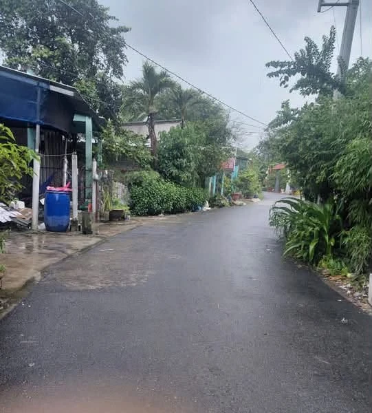 Bán lô đất 150m² đầu tư Phú An, Bình Dương 1 tỷ - Ảnh thu nhỏ 4