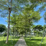 Khu DVHH VSIP Quảng Ngãi. Giá trị thực là chất lượng cuộc sống không phải số đo diện tích! - Ảnh thu nhỏ 5