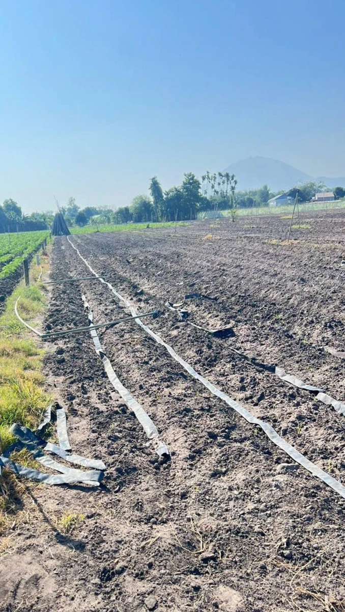 Bán đất Tân Châu 400m² 1,8 tỷ - Ảnh thu nhỏ 2