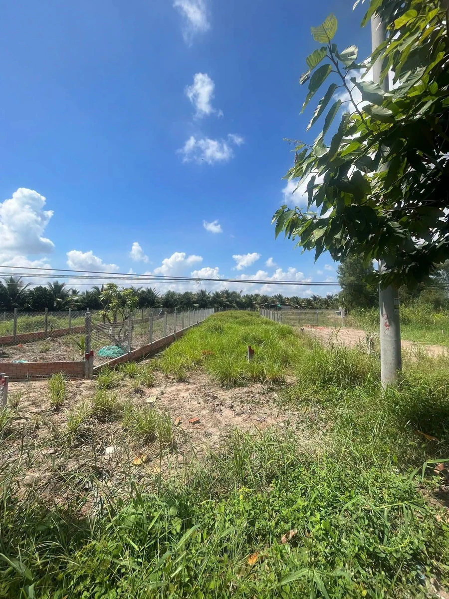 Bán đất thổ cư 485 m² mặt tiền đường tỉnh lộ Mỹ Thuận, Vĩnh Long - Ảnh thu nhỏ 3