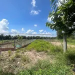 Bán đất thổ cư 485 m² mặt tiền đường tỉnh lộ Mỹ Thuận, Vĩnh Long - Ảnh thu nhỏ 3