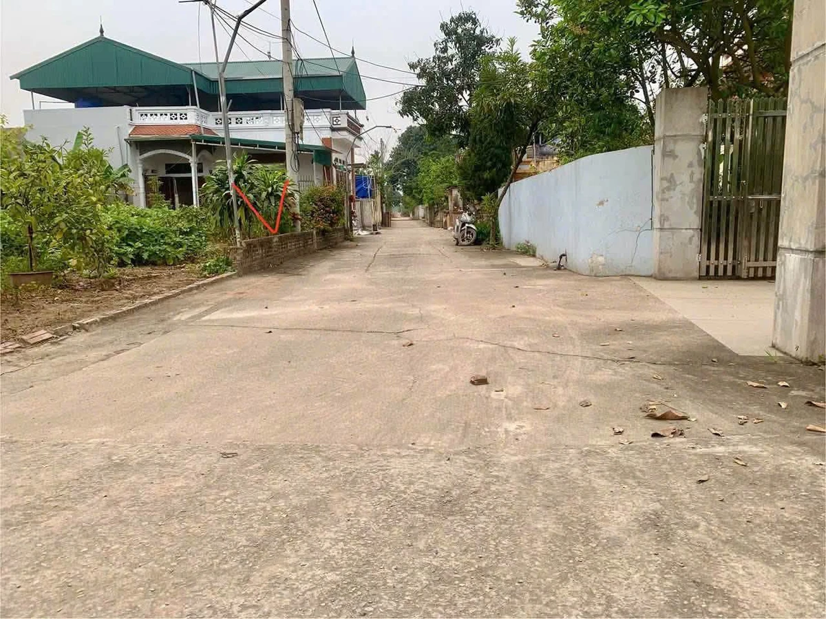 Bán đất thổ cư 91.1m² gần chợ Đầu Mối, Yên Mỹ, Hưng Yên - Ảnh thu nhỏ 2