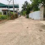 Bán đất thổ cư 91.1m² gần chợ Đầu Mối, Yên Mỹ, Hưng Yên - Ảnh thu nhỏ 2
