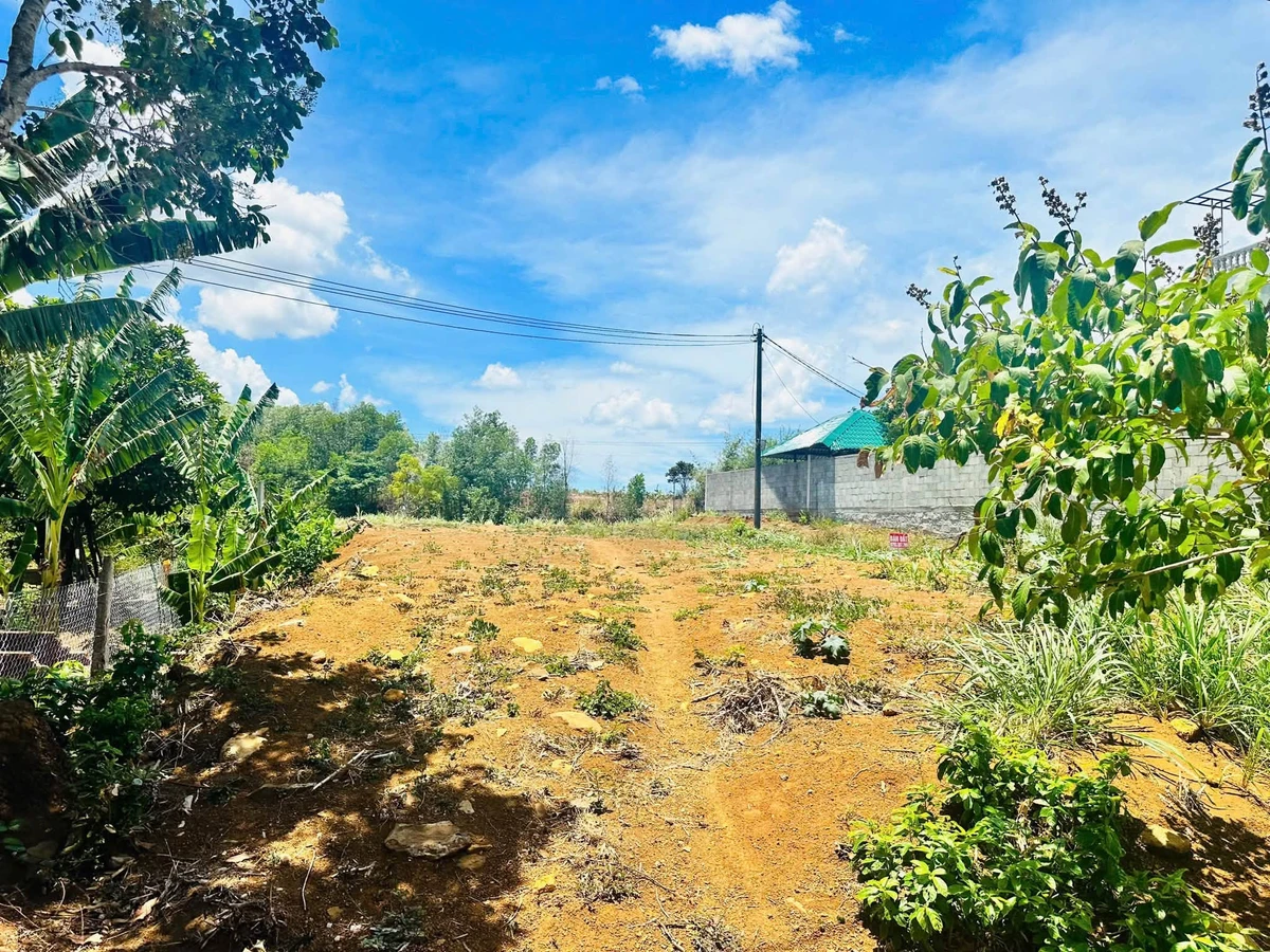 Bán đất 2 mặt tiền Cao Nguyên vân Hoà 800m2, 2 tỷ - Ảnh thu nhỏ 3
