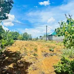 Bán đất 2 mặt tiền Cao Nguyên vân Hoà 800m2, 2 tỷ - Ảnh thu nhỏ 3