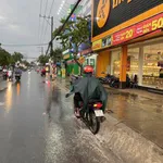 Bán đất mặt tiền Nguyễn Tri Phương, Bình Chánh, 1.518m² - Ảnh thu nhỏ 3