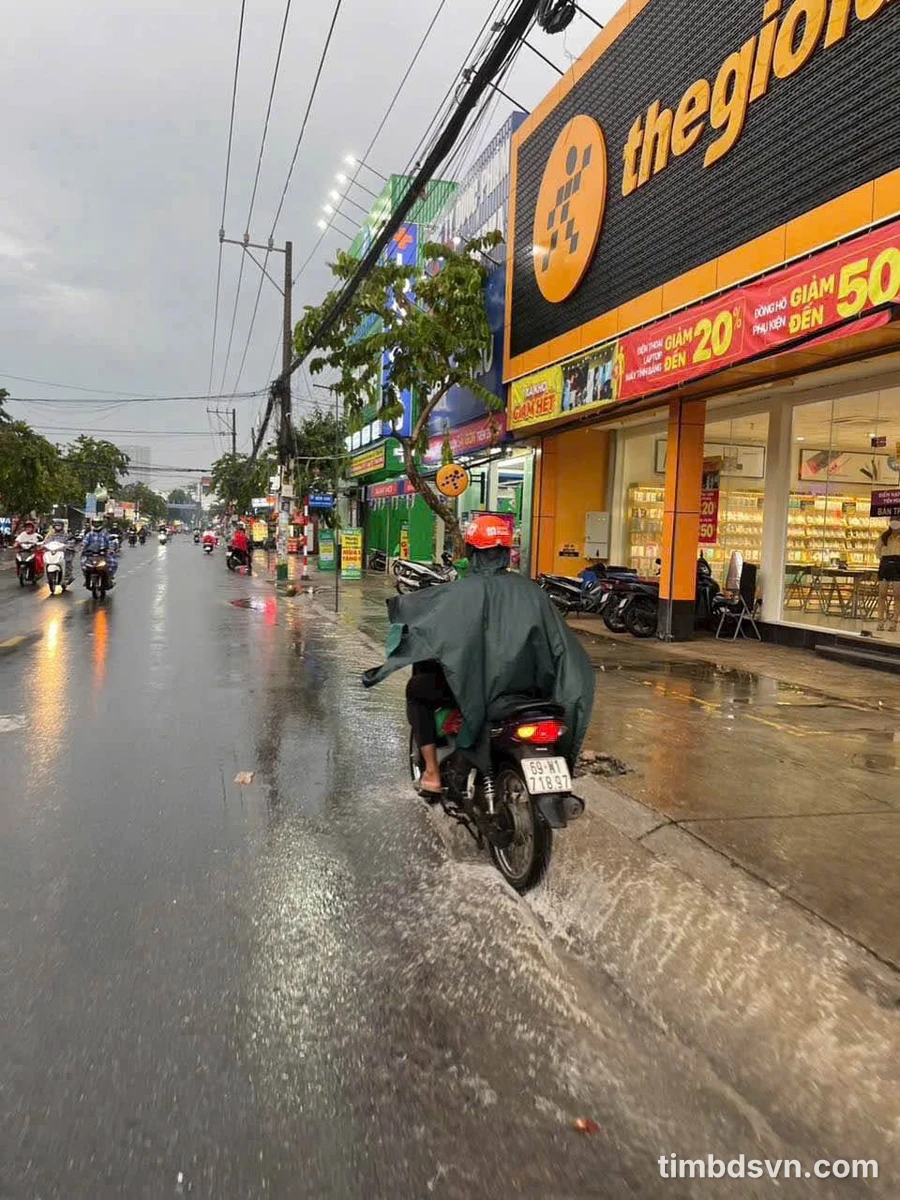 Bán đất mặt tiền Nguyễn Tri Phương, Bình Chánh, 1.518m² - Ảnh thu nhỏ 3