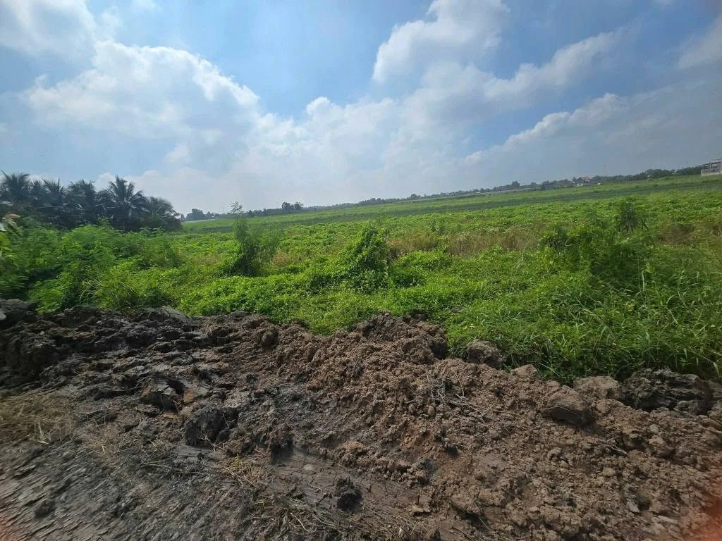 Bán gấp 2000m2 đất (300m2 thổ cư + 1700m2 đất lúa) Nhà Bè - Ảnh thu nhỏ 2