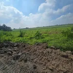 Bán gấp 2000m2 đất (300m2 thổ cư + 1700m2 đất lúa) Nhà Bè - Ảnh thu nhỏ 2