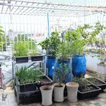 Bán nhà 88m2 ngang 4.6×19 Vũng Tàu, giá 5.5 tỷ - Ảnh thu nhỏ 4