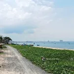 Bán 4395m2 thổ cư mặt tiền biển Trần Lê, Tiến Thành, gần NovaWorld - Ảnh thu nhỏ 6