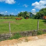 Bán đất thổ cư 240m² Xã An Ninh Đông 600 triệu - Ảnh thu nhỏ 2