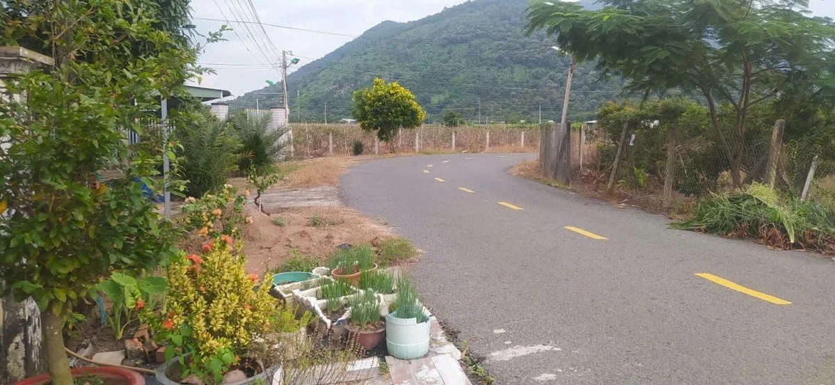 Bán đất mặt tiền Thanh Lợi Tây Ninh 450m2, 7.5 tỷ - Ảnh thu nhỏ 2
