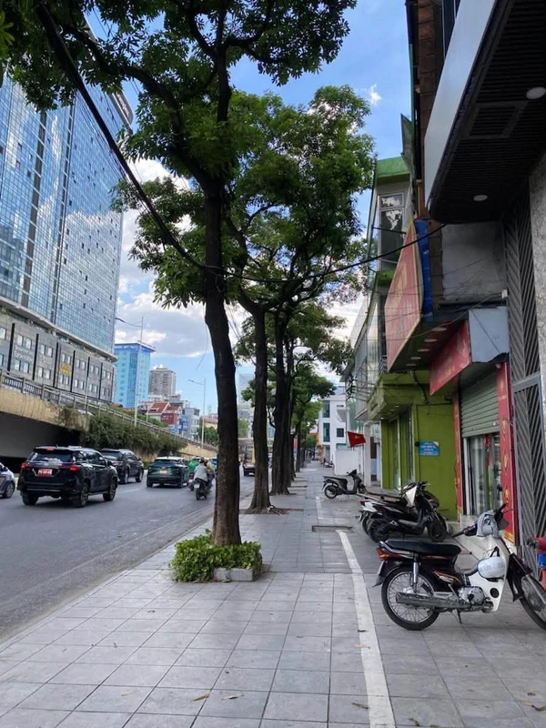 Bán shophouse Trần Duy Hưng, 95m², 8 tầng, 105 tỷ