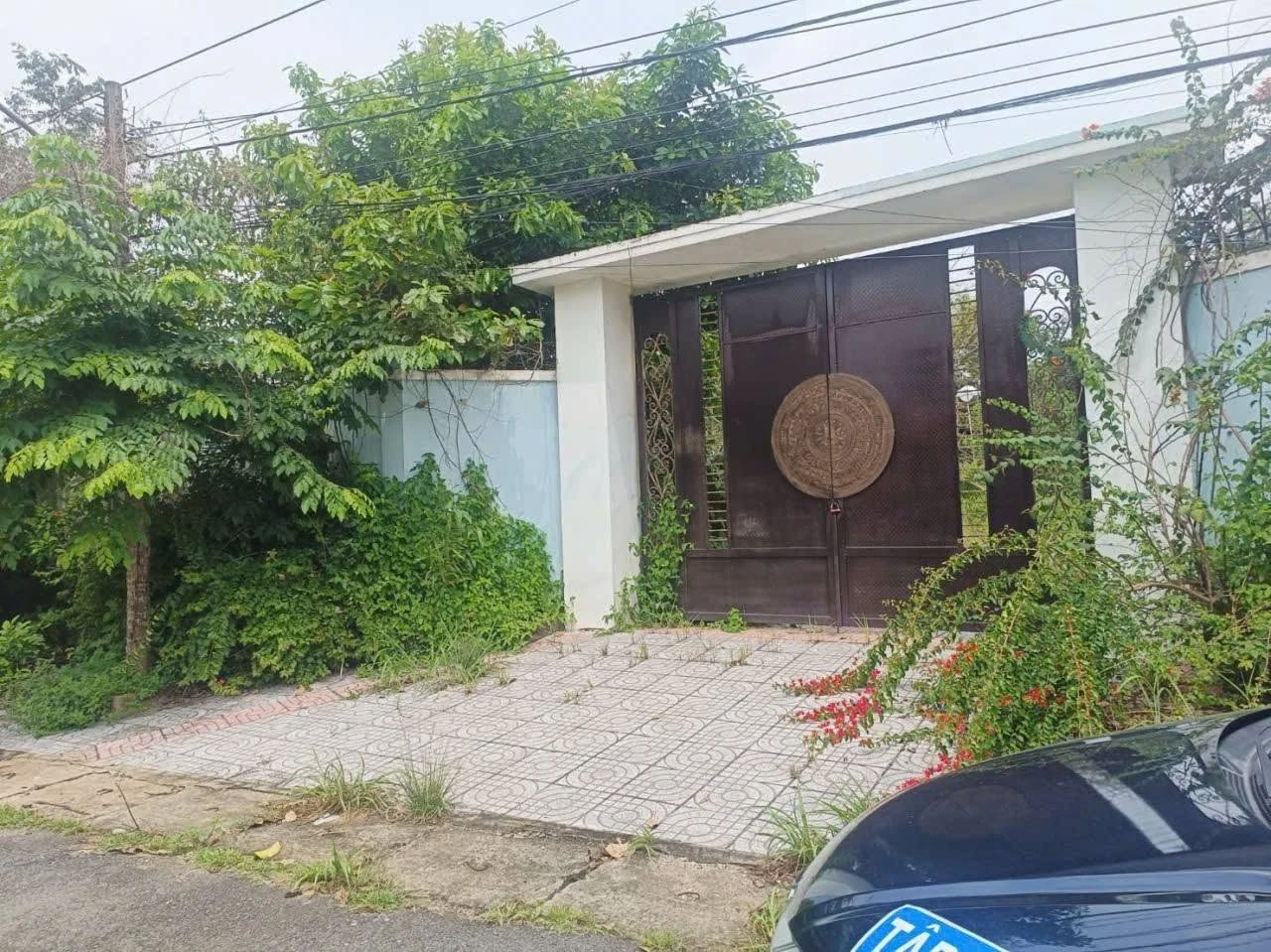 Bán đất 1.328 m² sát vòng xoay Tân Thành, Hồ Chí Minh, 8,6 tỷ - Ảnh 1