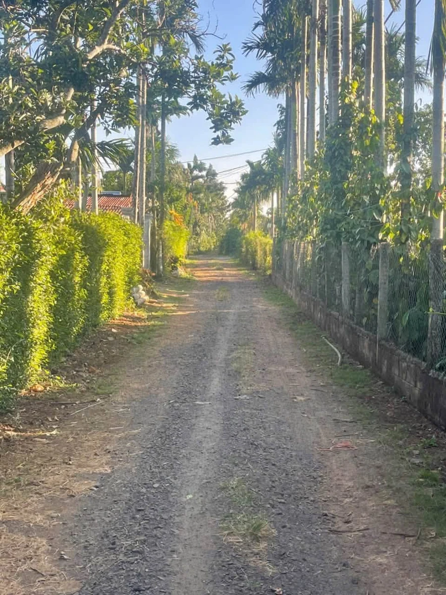 Bán đất mặt tiền 500m2 Tân An Nhà Bè 2 tỷ 200 triệu - Ảnh 1