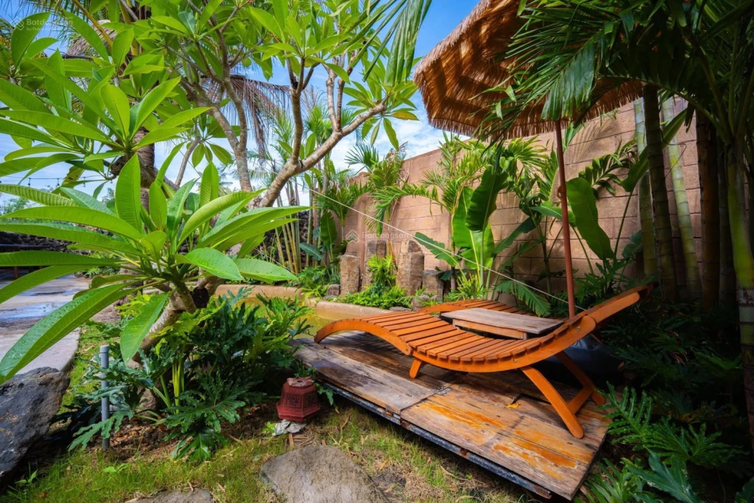 Homestay nhà vườn xinh xắn không gian sống yên bình giữa đồng quê Tuy An - Ảnh thu nhỏ 4