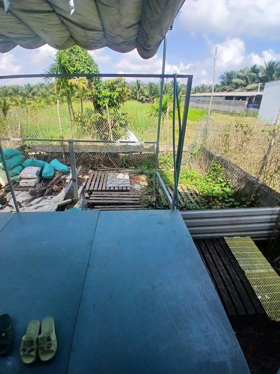 Bán nhà mặt tiền Phạm Văn Ngô Long An 480m² 2 tỷ - Ảnh thu nhỏ 3