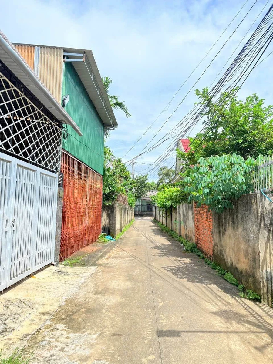 Bán đất 175m² hẻm Đào Duy Anh, Eakao, 1 tỷ 700 - Ảnh thu nhỏ 2