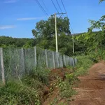 Bán đất 2 hecta Bù Đốp Bình Phước 3 tỷ 5 - Ảnh thu nhỏ 4