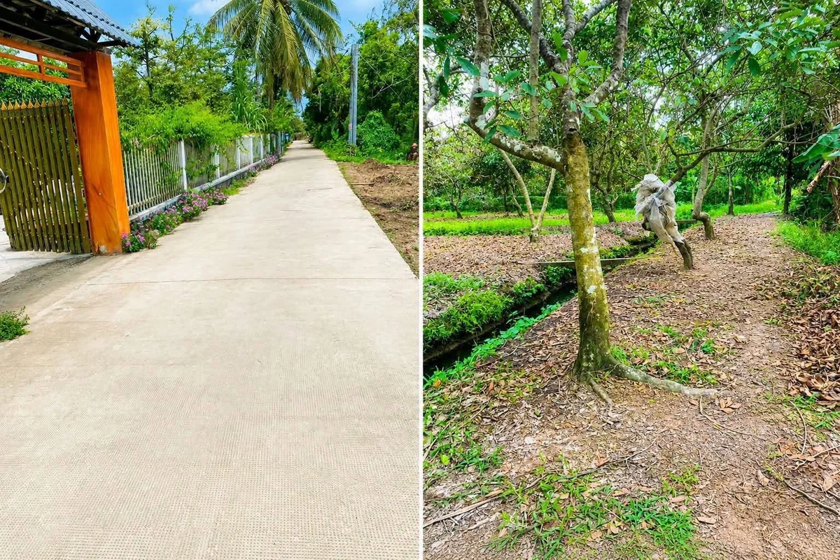 Bán đất vườn 2 công Tân Phú, 620 triệu/công - Ảnh 1