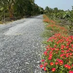 Bán đất nền 500m2 Xã Lương Hòa, Bến Lức, Long An - Ảnh thu nhỏ 4