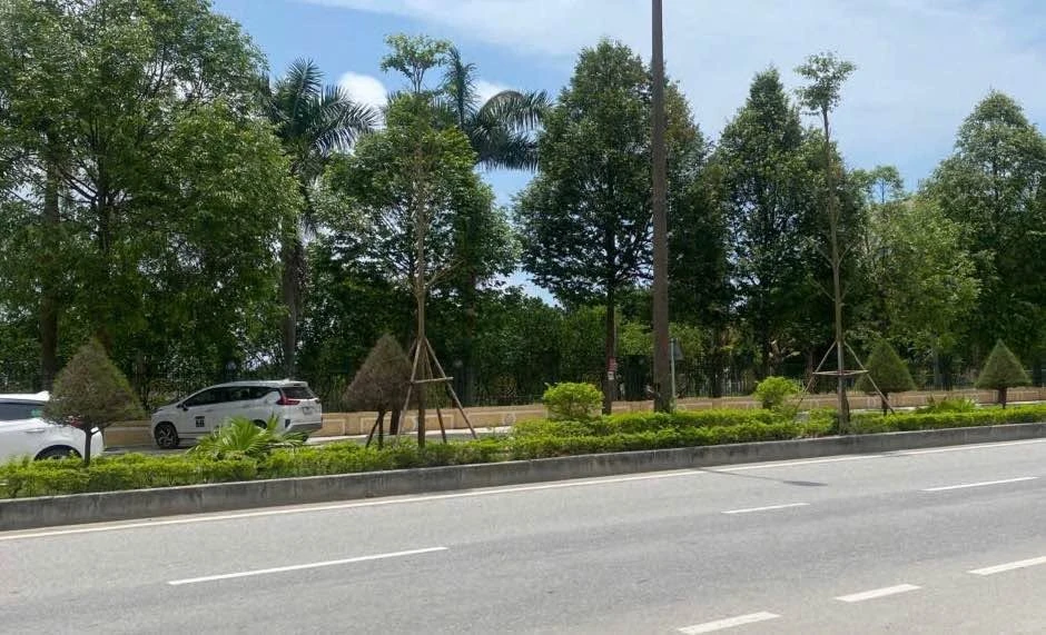 Bán đất Quảng Thịnh 410m2 mặt tiền 8m có phòng trọ - Ảnh thu nhỏ 5