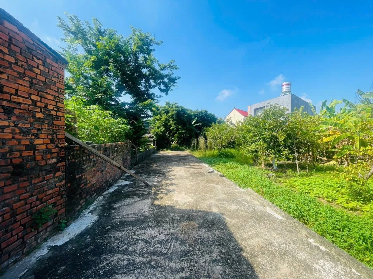 Bán đất 108m2 Phường Thành Vinh, Cần Giờ, giá 1 tỷ 3 - Ảnh 1