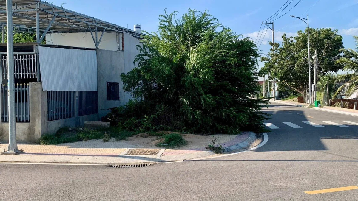 Bán lô góc 100.6m2 Xử Lý Nước Thải Mỹ Đông, 1 tỷ 650 - Ảnh thu nhỏ 2