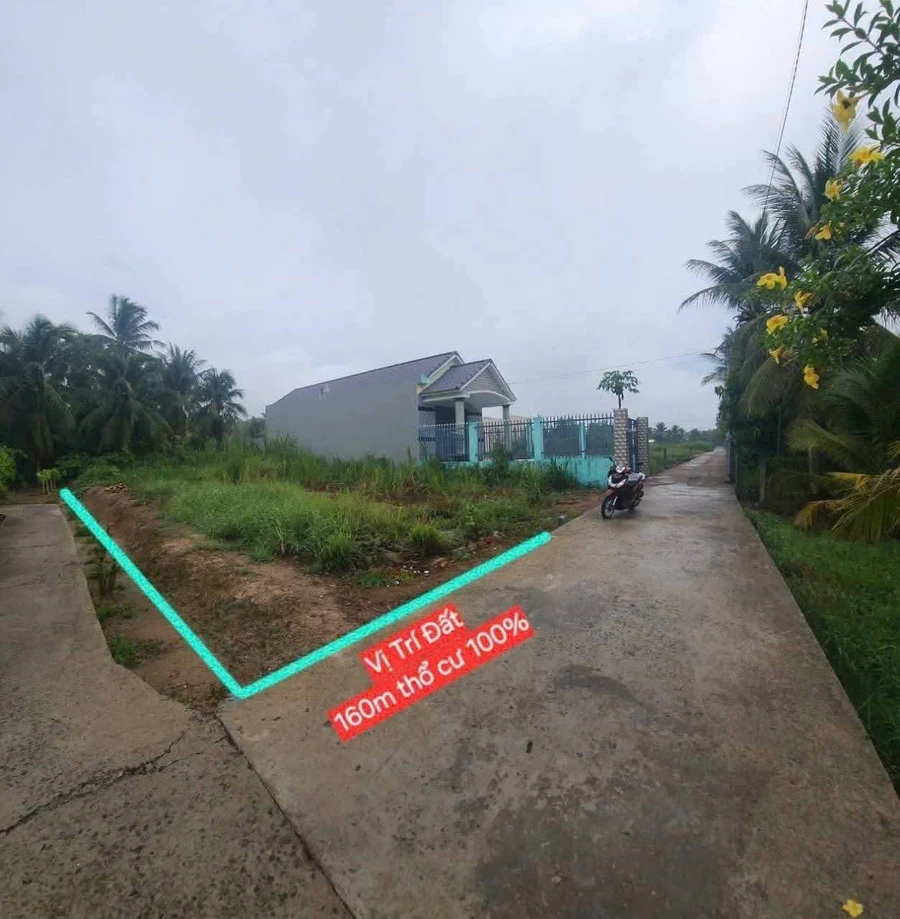 Bán đất Bình Phú Bến Tre 160m2 - 830 triệu - Ảnh thu nhỏ 5