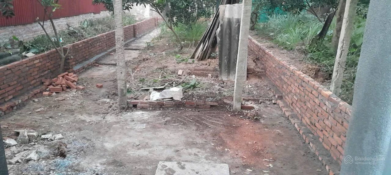 Bán đất Nho Lâm, Tam Hồng, Yên Lạc, Vĩnh Phúc, ô tô tránh, 20m ra tỉnh lộ 304, 100m2, 2,8 tỷ có bớt - Ảnh 1