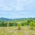 Bán đất 2 sào Bảo Lộc 1 tỷ 120 triệu - Ảnh thu nhỏ 2