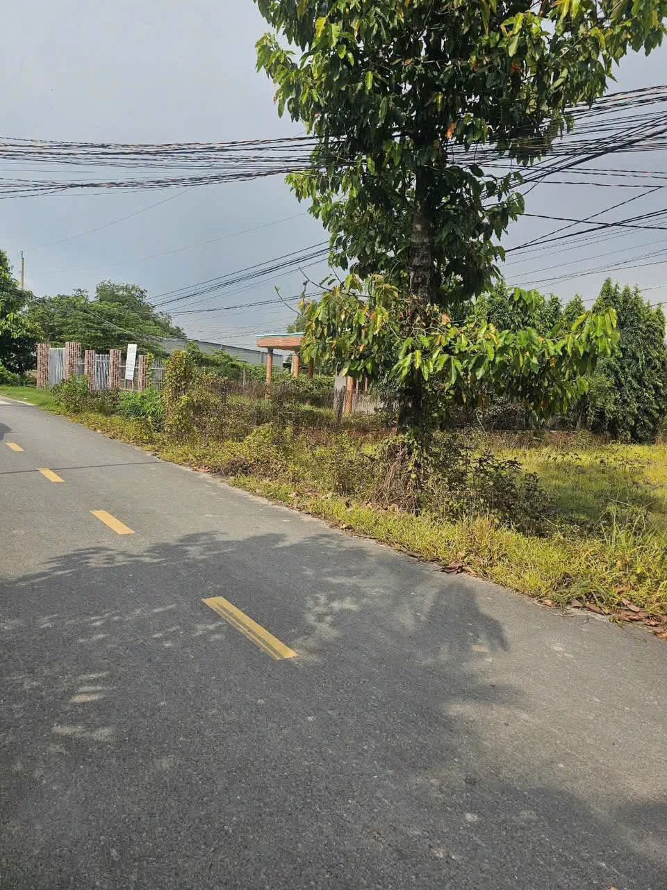 Bán 3 lô đất liền kề mặt tiền Rừng Sén 160m² - 1 tỷ 350 triệu - Ảnh 1