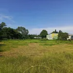 Bán lô đất cây trồng 3000m² Lâm Đồng mặt tiền bê tông - Ảnh thu nhỏ 4