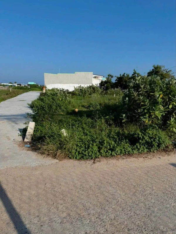 Bán lô đất 95m² tại Mỹ Hiệp, Vĩnh Hải, Ninh Thuận - 795 triệu